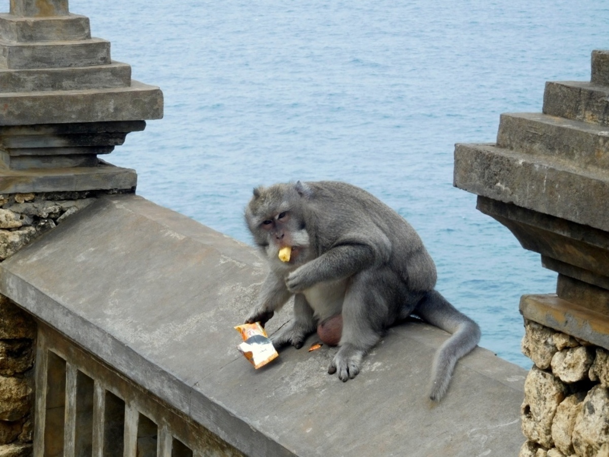 Large thumb dscn0028 1024