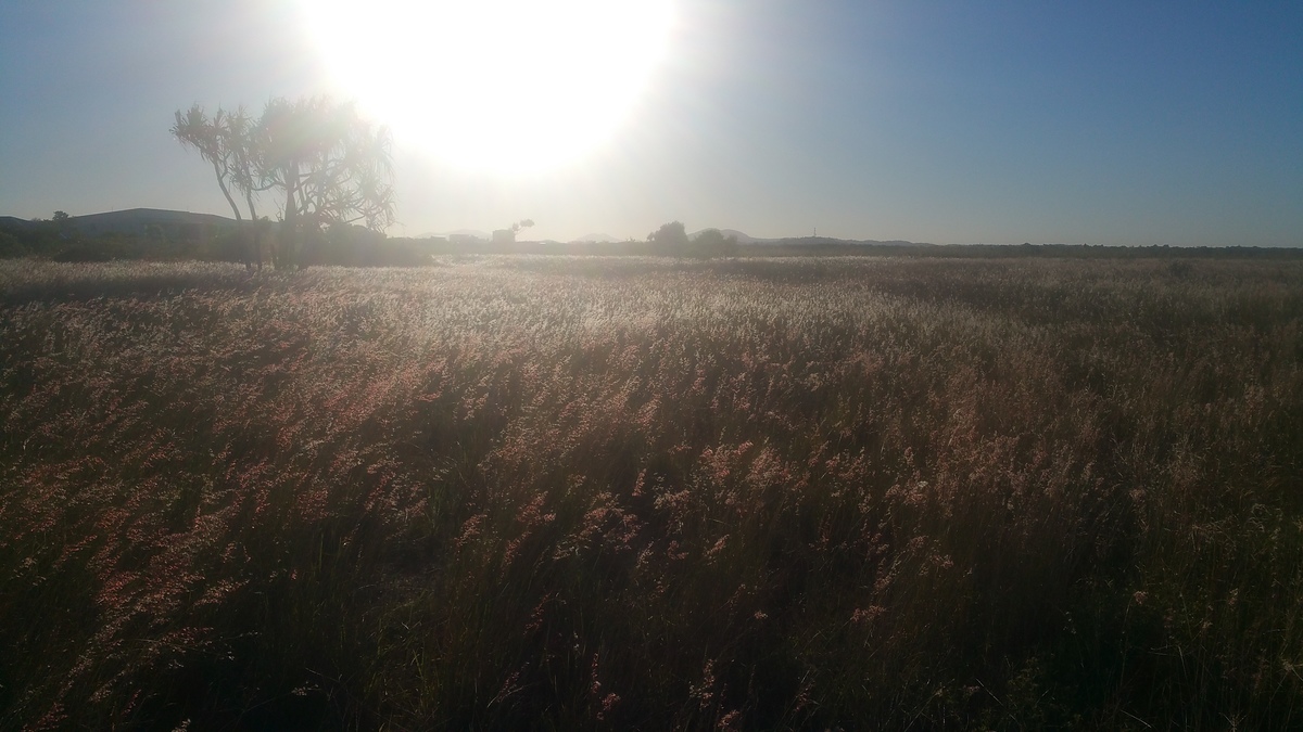 Large 20160513 162530