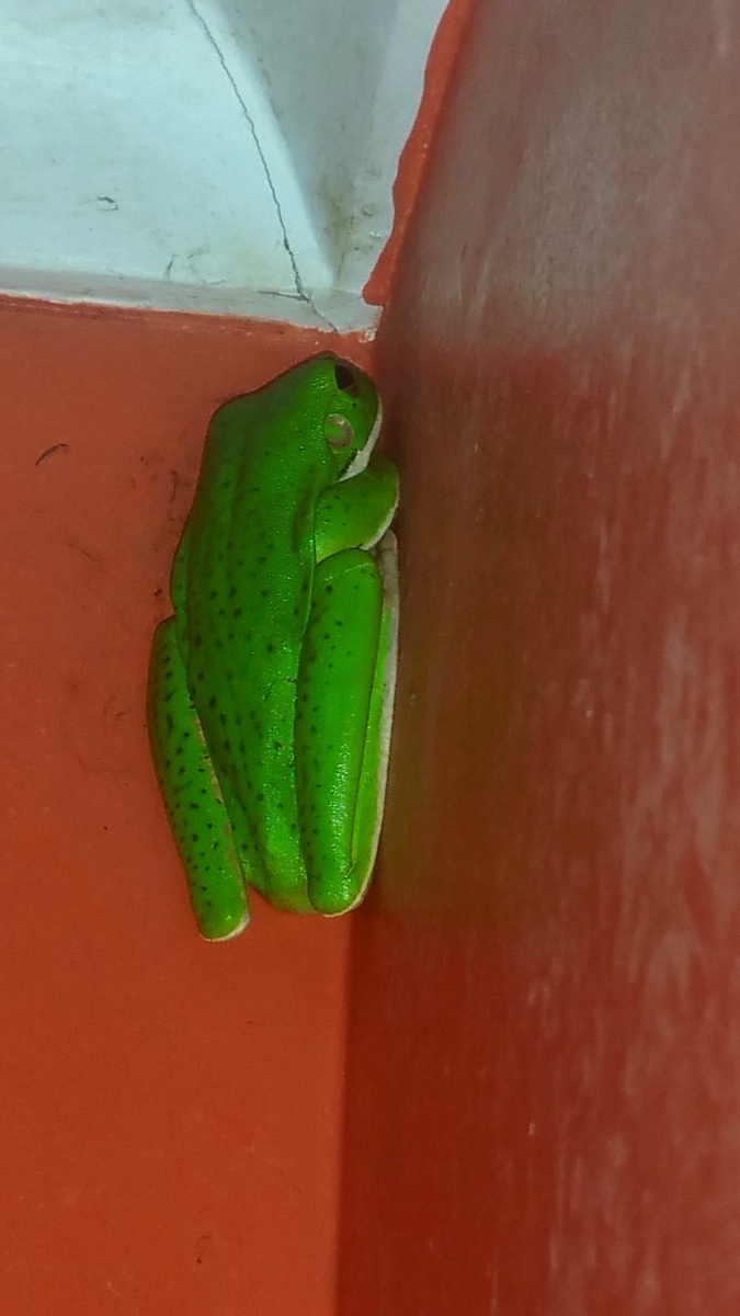 Large 20160530 100358