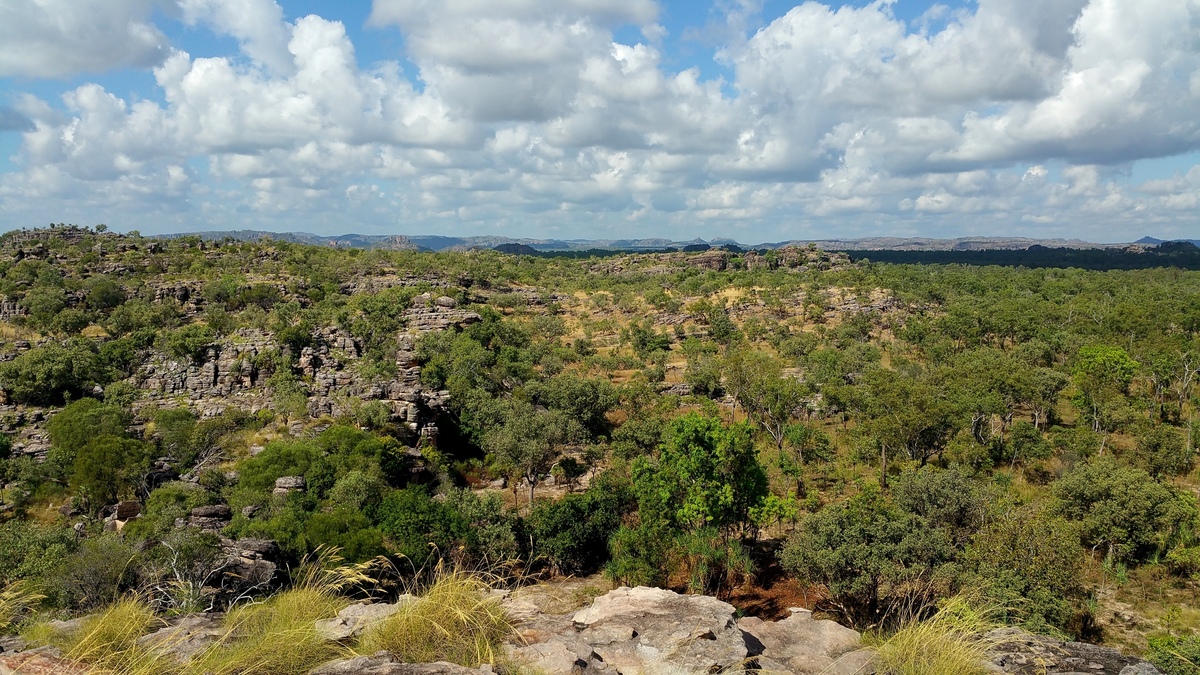 Large 20160606 103710