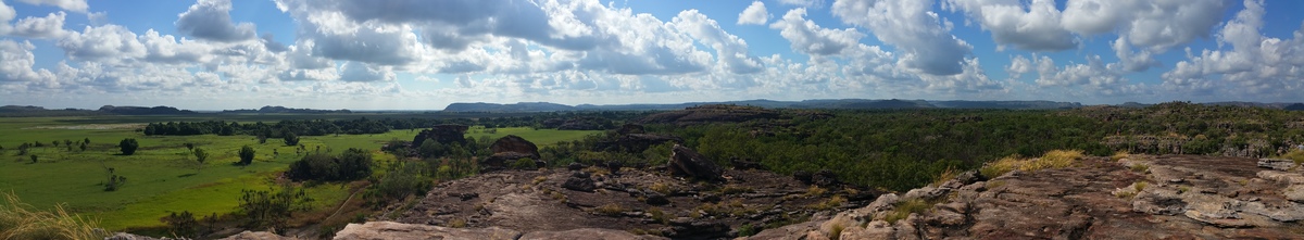 Large 20160606 103435