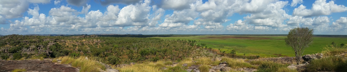 Large 20160606 103615