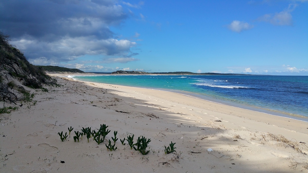 Large 20160629 131103